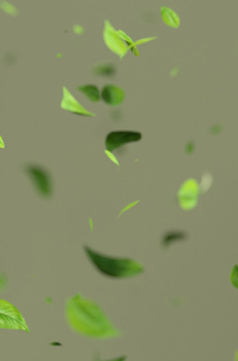 Green Recycle Symbol