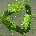 SÃmbolo de reciclaje verde