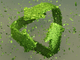 BOPE Films: The Future of Sustainable Packaging Solutions