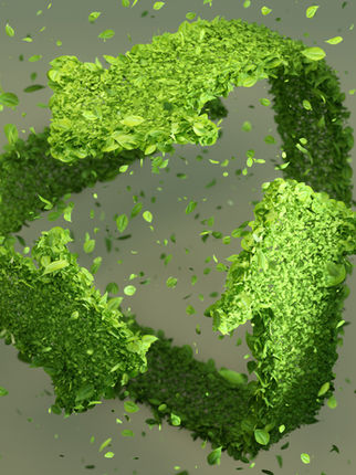 Green Recycle Symbol