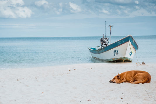 Fishing Boat