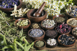 Skinformation: 10 Natural Ingredients in Our Products - Do You Know Them?