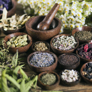 Classical Musician’s Guide to Integrative & Alternative Medicine