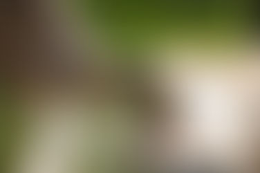 Skilled Trade Carpenter Sanding Wood | Los Angeles Staffing Agency