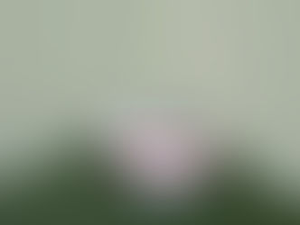 Il diritto di copia dei documenti bancari alla luce del Testo Unico Bancario