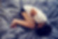 Upset Stomach