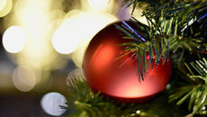 Ornament hanging from a Christmas tree