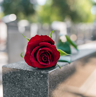 Erinnerungsrote Rose
