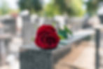 Memorial da Rosa Vermelha