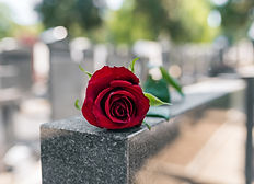 Memorial Red Rose