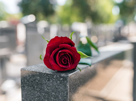 Memorial Red Rose
