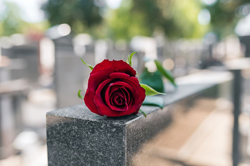 Rose on a grave symbolising grief