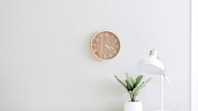 plant against a white wall with a clock