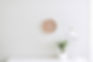 Horloge et plante