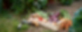 Home Grown Vegetables
