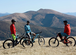 Grupp mountainbikers