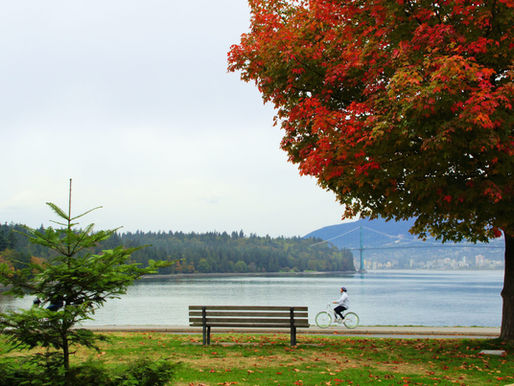 rise-and-shine-counselling-vancouver