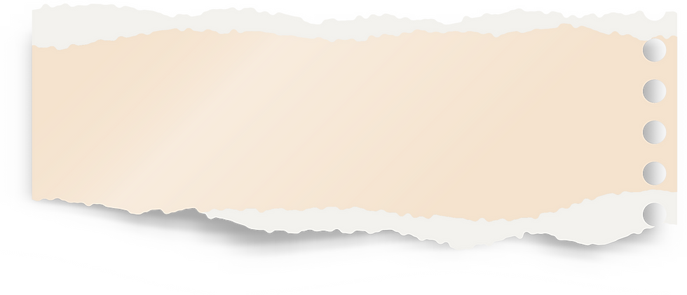 Torn Paper Edges