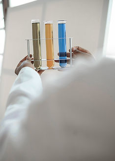 Test Tubes Displayed