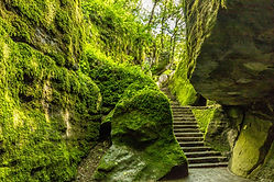Stone Steps _ Moss