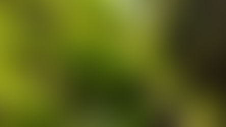 Kolme askelta ketterään projektijohtamiseen
