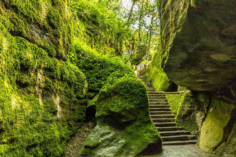 Mossy Stone Stairway