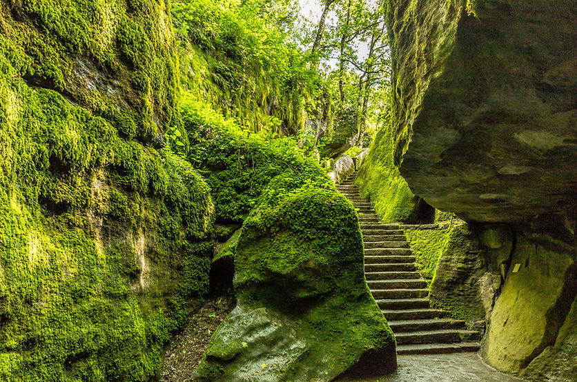 Mossy Stone Stairway