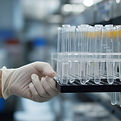 Lab Test Tubes