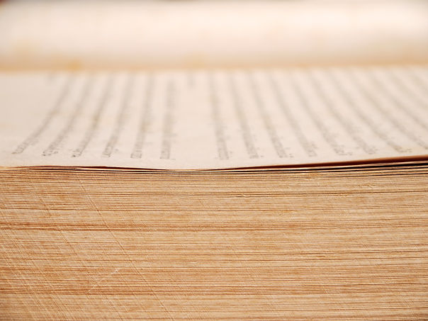 A close-up photo of a thick book