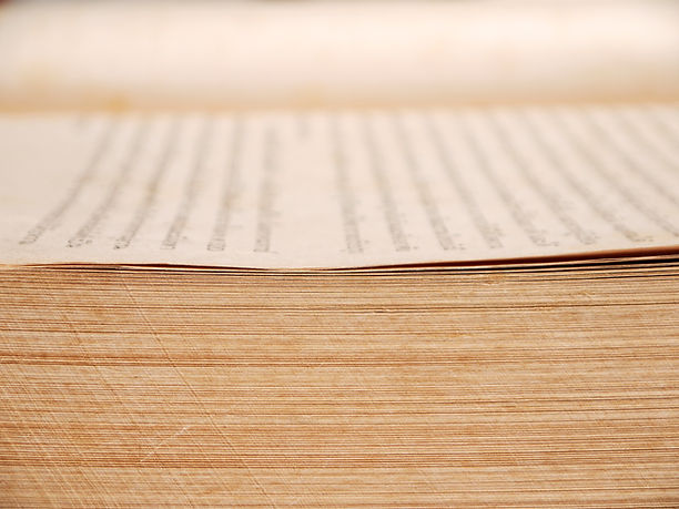 A close-up photo of a thick book