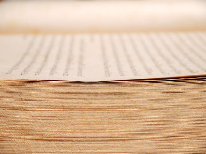 A close-up photo of a thick book