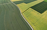 Agricultural Fields