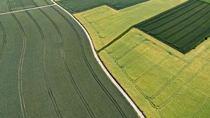 Farm field