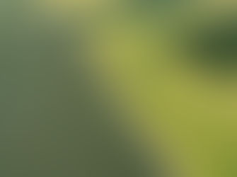 Adana Arsa Drone Çekimi