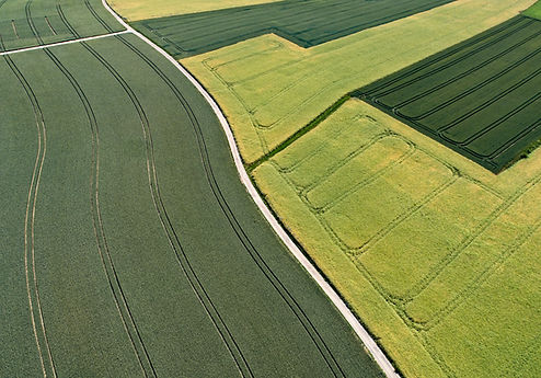 Agriculture, investing