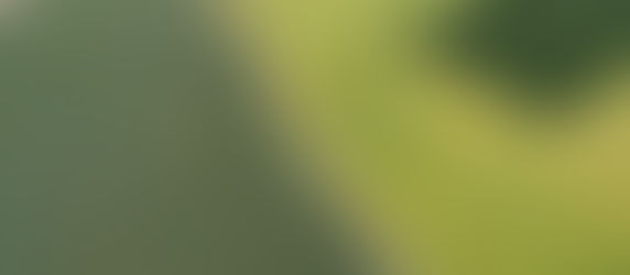 GEÇİT HAKKI KURULMASI DAVASI