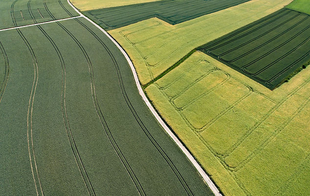 Aerial Farmland View