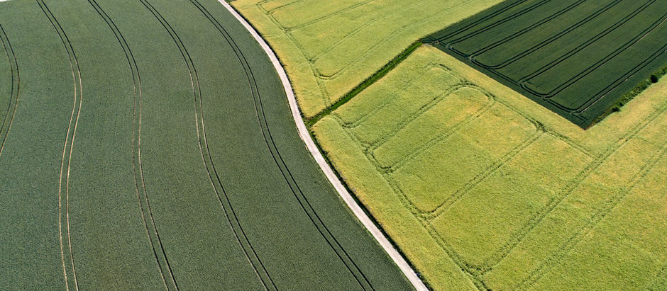 GEÇİT HAKKI KURULMASI DAVASI