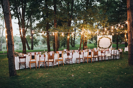 Outdoor Dinner Celebration