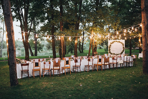 Outdoor Dinner Celebration