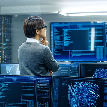 Person Analyzing Data