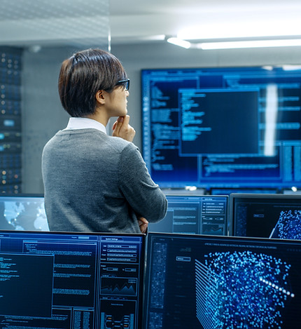 Person Analyzing Data