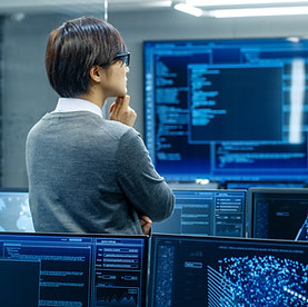 Person Analyzing Data