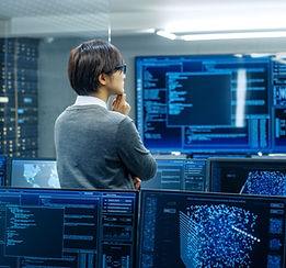 Person Analyzing Data