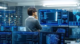 Person Analyzing Data