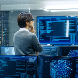 Person Analyzing Data
