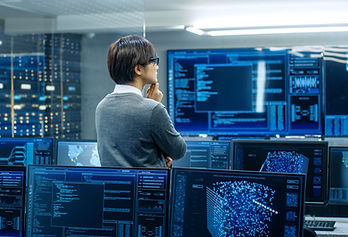 Person Analyzing Data