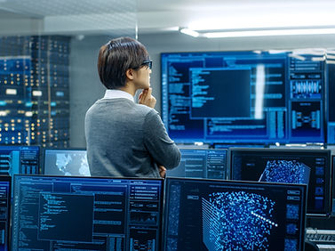 Person Analyzing Data
