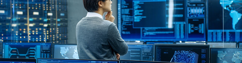 Person Analyzing Data