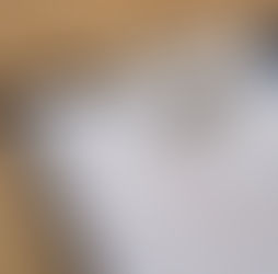 Sloga ubedljiva protiv Kruševljanki